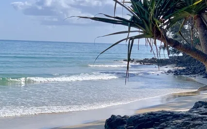 Mindfulness Of Emotions Like Waves In The Ocean