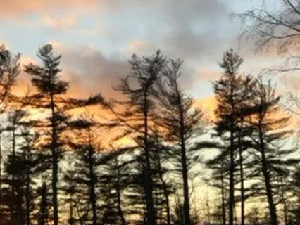 Mindfulness Of Emotions Meditation