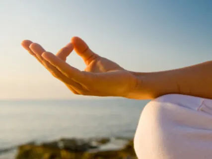 Mindfulness Of Hands