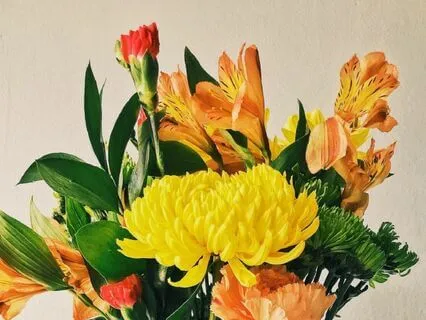 Mindfulness Of In And Out Breathing