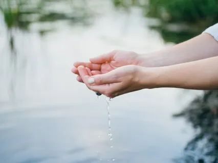 Mindfulness Of Movement