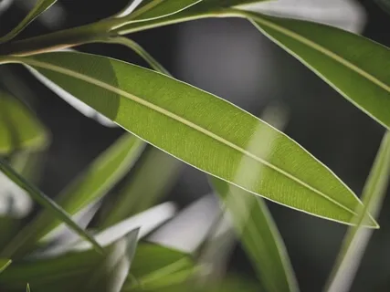 Mindfulness Of My Internal Weather