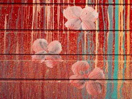 Mindfulness Of Pain