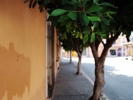 Mindfulness Of Phenomena – Appearances And Awareness