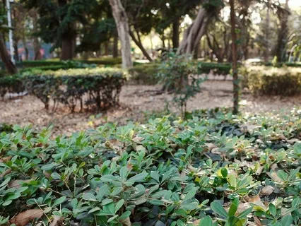 Mindfulness Of Phenomena – Impermanence Of Appearances