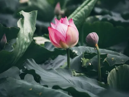 Mindfulness Of Seeing