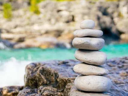 Mindfulness Of Sexual Accelerators And Brakes