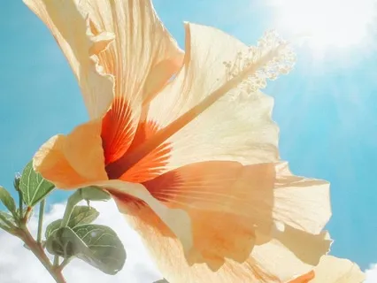 Connecting To Your Senses: Experiencing What You See