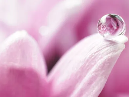 Mindfulness Of Sound