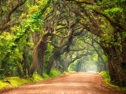 Mindfulness Of Sound (Silent Background)