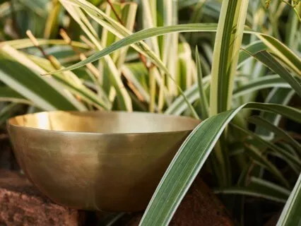 Mindfulness Of Sounds