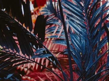 Mindfulness of Sounds & Thoughts