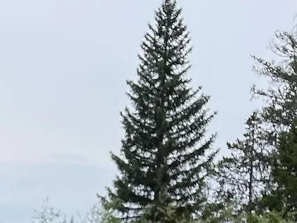 Mindfulness Of The Body