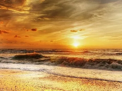 Mindfulness Of The Body 