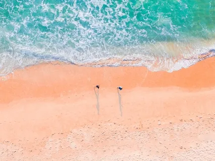 Mindfulness Of The Body