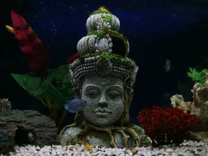 Mindfulness Of The body