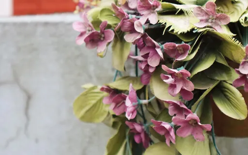 Mindfulness Of The Body: Discerning Impermanent Nature