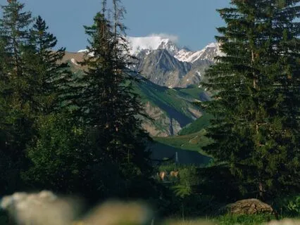 Mindfulness Of The Body - Guided Insight Meditation & Talk