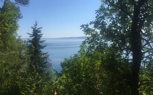 Mindfulness Of The Body/Breathe