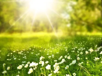 Mindfulness Of The Breath