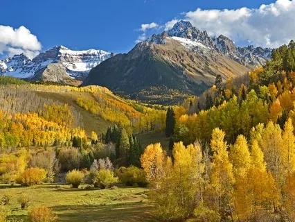 Mindfulness Of The Breath