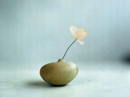 Mindfulness Of The Breath