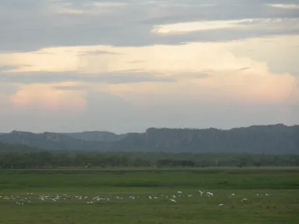 Mindfulness Of The Breath