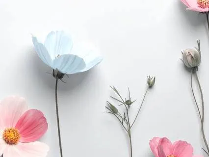 Mindfulness Of The Feelings