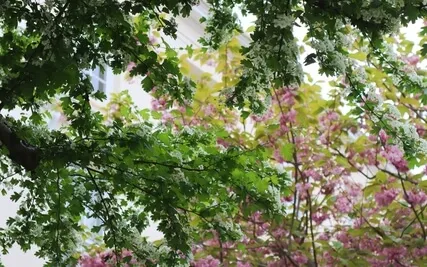 Mindfulness Of The Mind: Exploring Impermanence