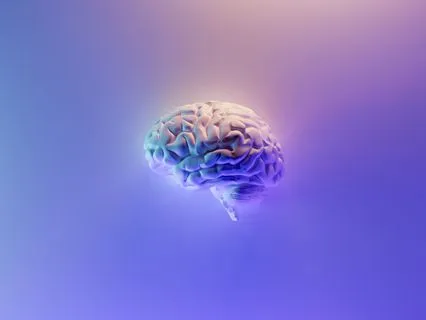 Mindfulness Of The Mind - Introduction