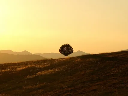 Mindfulness of the Senses