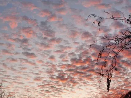 Mindfulness Of The Senses