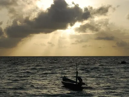 Mindfulness of Thought