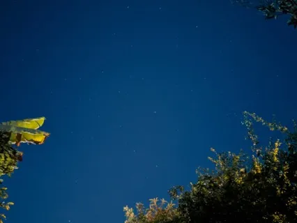 Mindfulness Of Thoughts & Emotions - Steal Back Your Mind