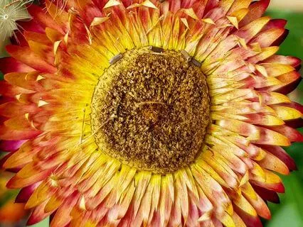 Mindfulness Of Thoughts - Become The Observer