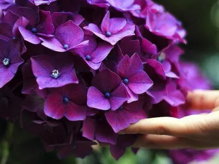 Connecting To Your Senses: A Mindful Touch Meditation