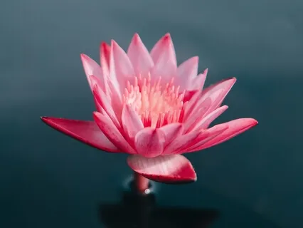 Mindfulness Practice: Awareness Of The Breath