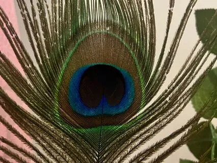 Mindfulness Practice Based On Visualisation Technique