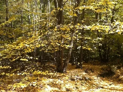 Mindfulness Practice  For Patients In Hospital 