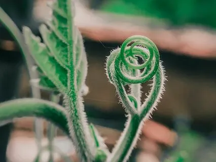 Mindfulness Practice For Recurrent Looping Thoughts