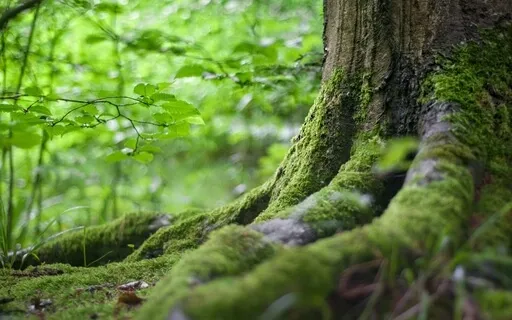 Mindfulness Practice For Stress, Anxiety, Courage, Doubt