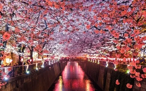 Mindfulness Practice- Three Antidotes To Excessive Thinking