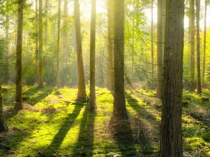 Mindfulness Practice To Clear Your Mind Of Thoughts