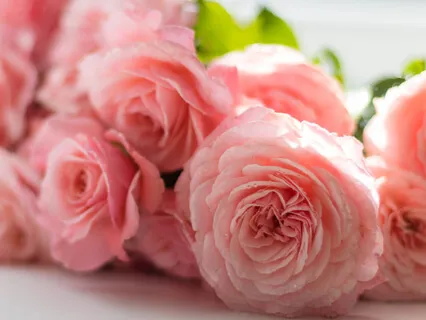 Mindfulness RAIN: Reconhecer, Aceitar, Investigar, Nutrir