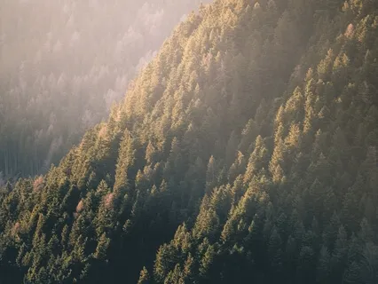 Mindfulness Recharge