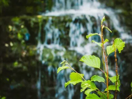 Mindfulness Rhythms: Shamanic Peace