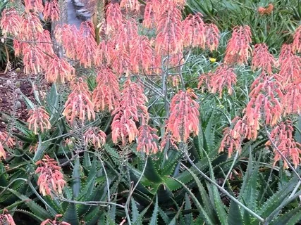 Mindfulness Routine: Leaving Work at Work