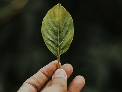 Mindfulness - Scan Corporal