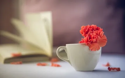 Mindfulness Simplified