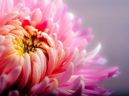 Mindfulness & Manifestation Through Allah Hu